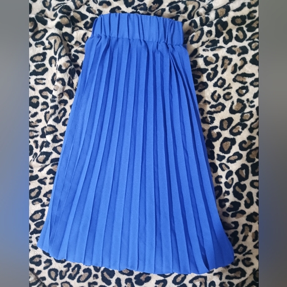 Women Blue belted pleated maxi skirt - Picture 10 of 15